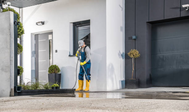 Best Driveway Pressure Washing  in Diamond Ridge, AK